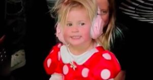 daisy blooms real name